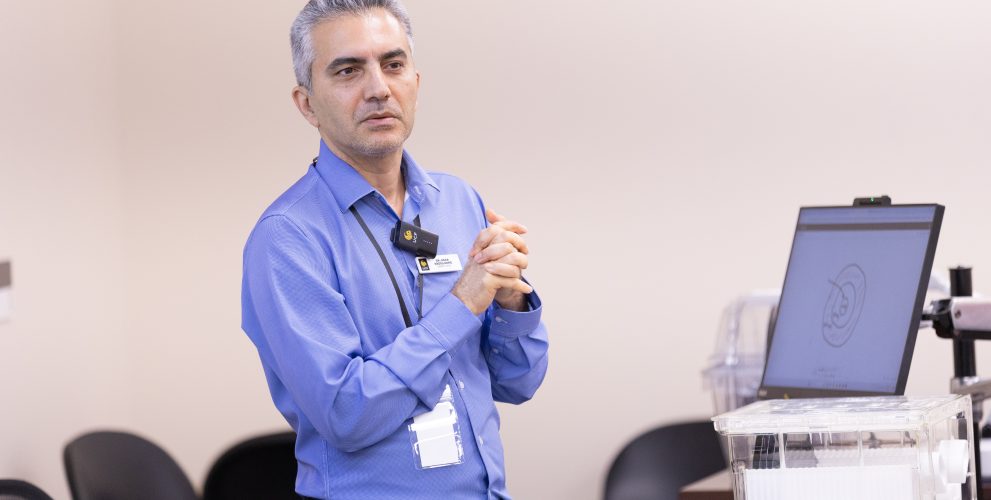 reza abdolvand